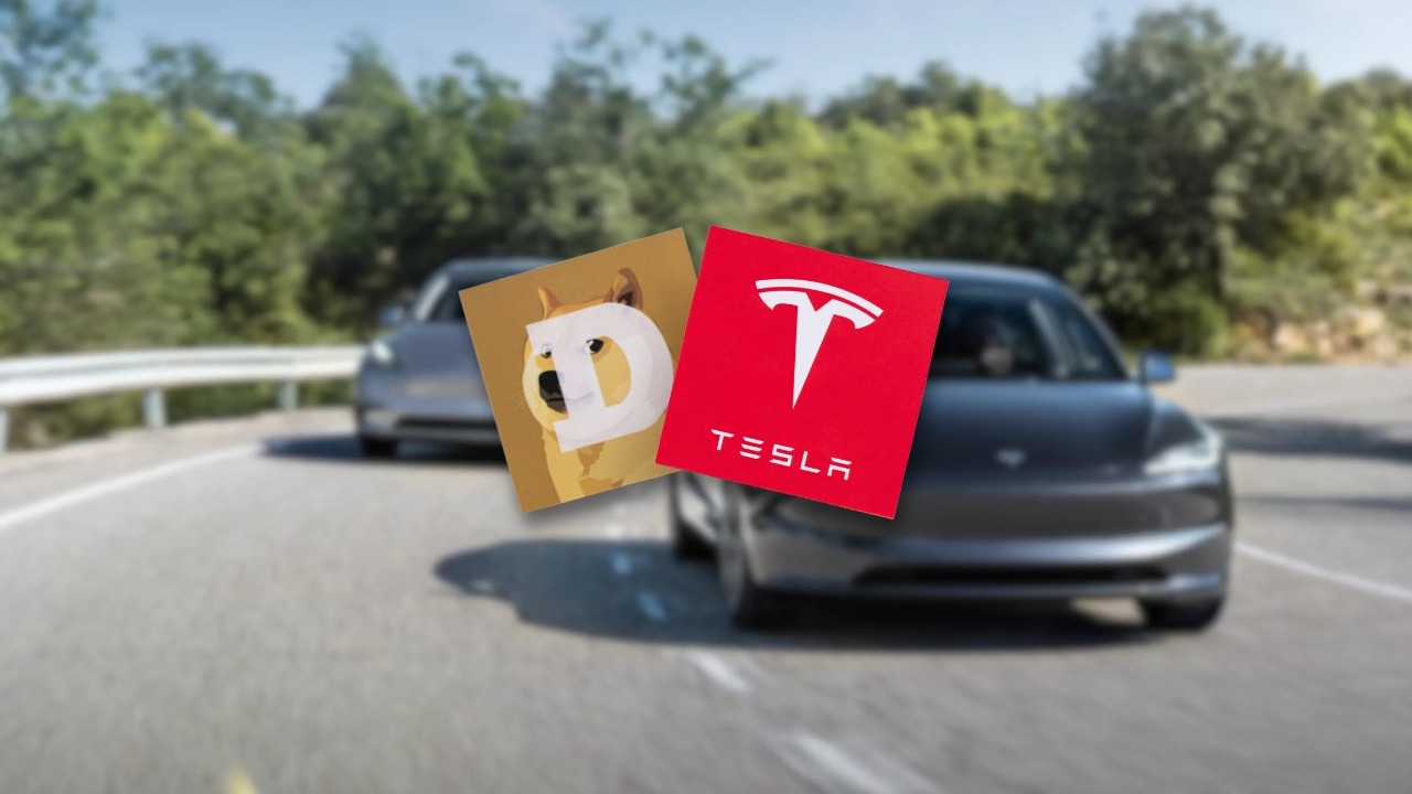 A picture showing Tesla model 3, Tesla Model Y, Dogecoin logo and Teala logo