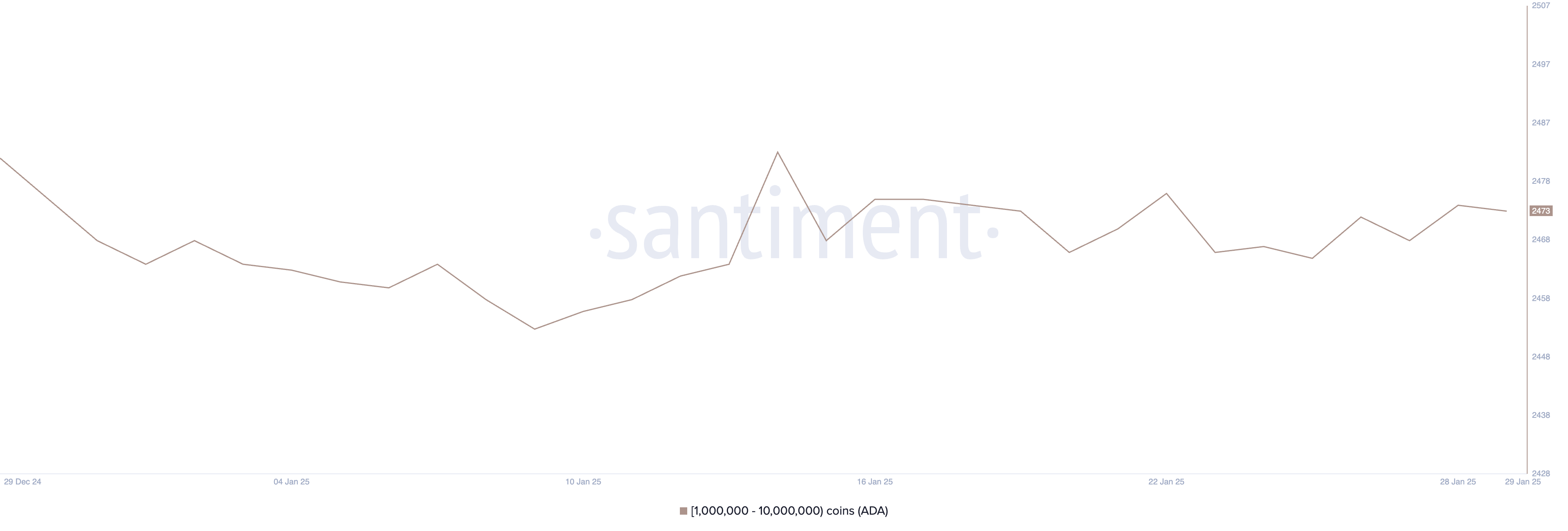 Addresses Holding Between 1 Million and 10 Million ADA.